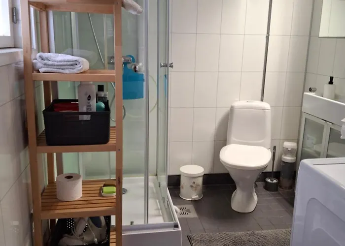 V Taehkae - Hiljainen Ja Viihtyisae Vierasmaja בקתה הלסינקי